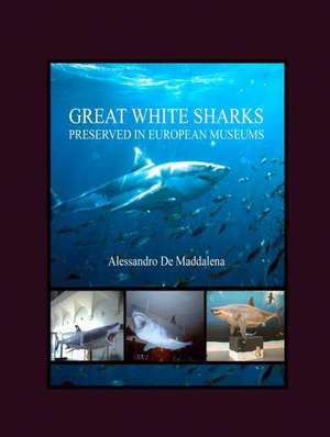 Great White Sharks Preserved in European Museums de Alessandro De Maddalena