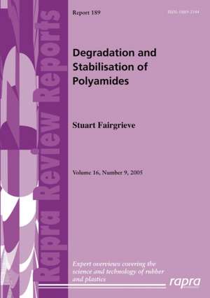 Degradation and Stabilisation of Polyamides de Stuart Fairgrieve