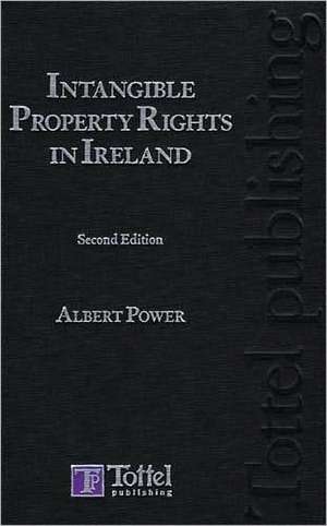 Intangible Property Rights in Ireland: A Guide to Irish Law (Second Edition) de Power