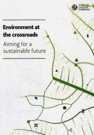 Environment at the Crossroads de Emilio Rui Vilar