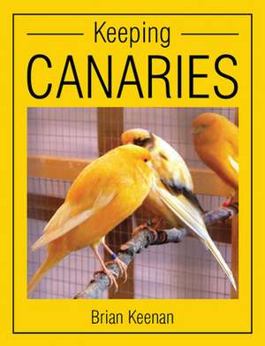 Keeping Canaries de Brian Keenan