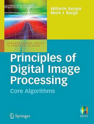 Principles of Digital Image Processing: Core Algorithms de Wilhelm Burger