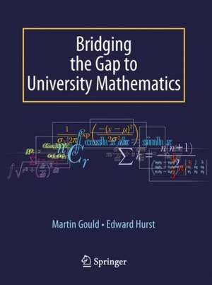 Bridging the Gap to University Mathematics de Edward Hurst