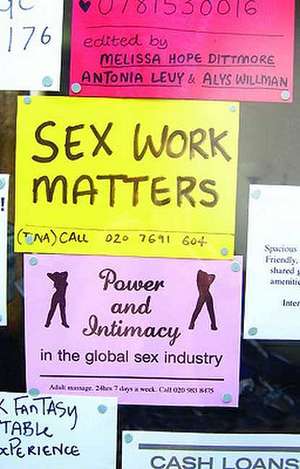 Sex Work Matters: Exploring Money, Power, and Intimacy in the Sex Industry de Melissa Hope Ditmore