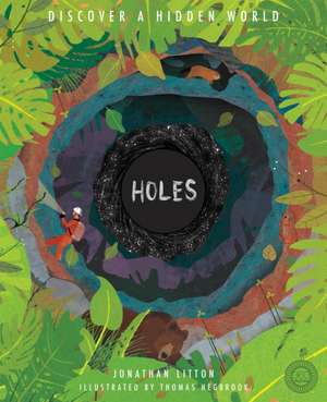 Litton, J: Holes