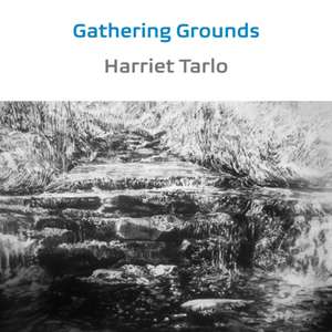 Gathering Grounds de Harriet Tarlo