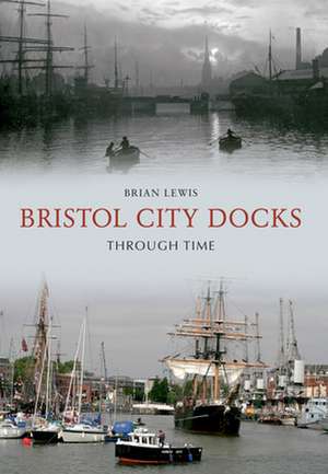 Bristol City Docks Through Time de Brian Lewis