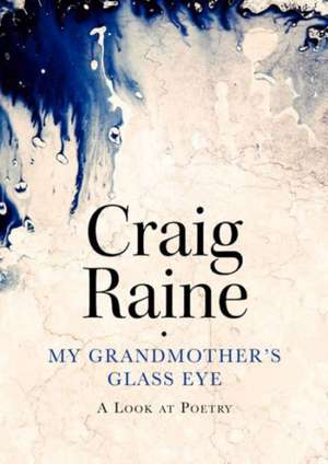 My Grandmother's Glass Eye de Craig (Author) Raine