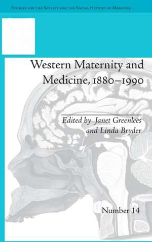 Western Maternity and Medicine, 1880-1990 de Janet Greenlees