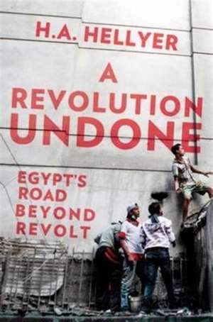 A Revolution Undone de H. A. Hellyer