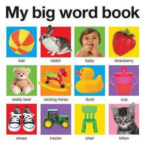 My Big Word Book de Roger Priddy