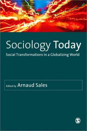 Sociology Today: Social Transformations in a Globalizing World de Arnaud Sales