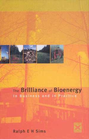 The Brilliance of Bioenergy: In Business and In Practice de Ralph E H Sims