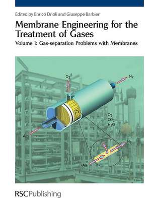 Membrane Engineering for the Treatment of Gases 2 Volume Set de Enrico Drioli