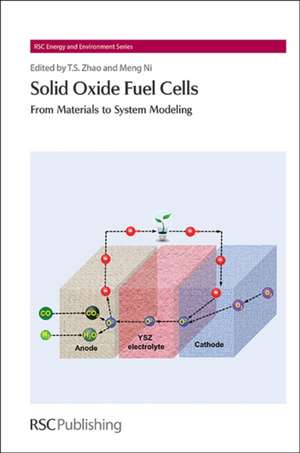 Solid Oxide Fuel Cells: From Materials to System Modeling de Meng Ni