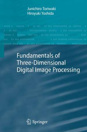 Fundamentals of Three-dimensional Digital Image Processing de Junichiro Toriwaki