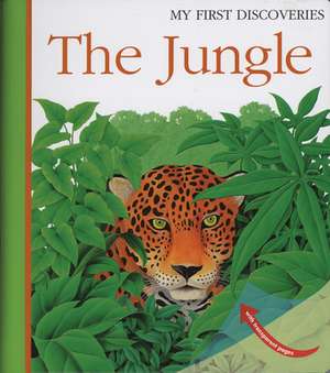 The Jungle de René Mettler