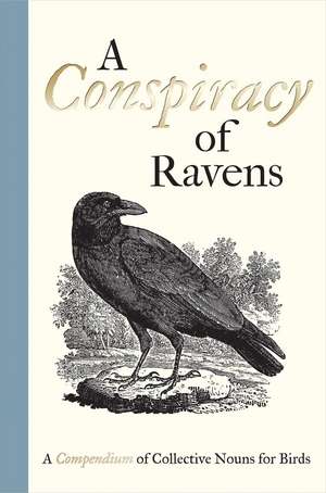 A Conspiracy of Ravens: A Compendium of Collective Nouns for Birds de Thomas Bewick