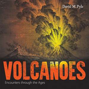 Volcanoes: Encounters through the Ages de David M. Pyle