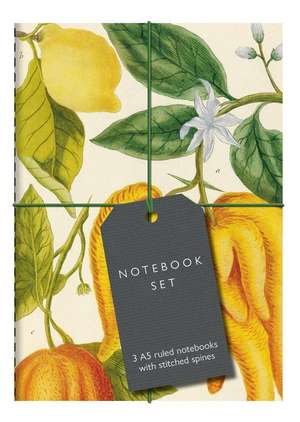 Botanical Art Notebook Set - Lemon, Chillis and Apples: 3 A5 Ruled Notebooks with Stitched Spines de Bodleian Library