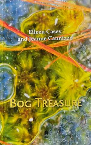 Bog Treasure de Eileen Casey