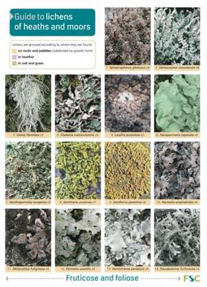 Guide to Lichens of Heaths and Moors de Frank Dobson