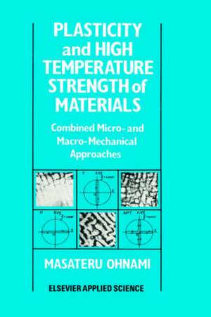 Plasticity and High Temperature Strength of Materials: Combined micro- and macro-mechanical approaches de M. Ohnami