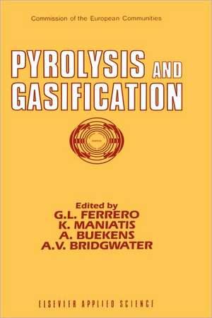 Pyrolysis and Gasification de G. L. Ferrero