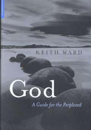 God: A Guide for the Perplexed de WardfKeith