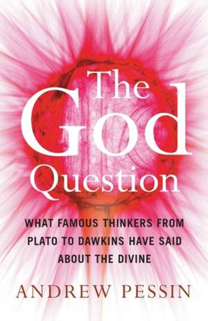 The God Question: What Famous Thinkers from Plato to Dawkins have said about the Divine de Andrew Pessin