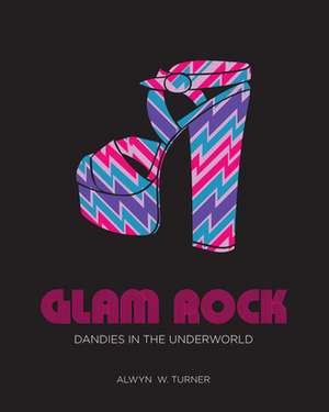 Glam Rock de Alwyn W. Turner