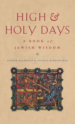 High and Holy Days de Andrew Goldstein