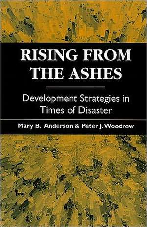 Rising from the Ashes de Mary B. Anderson