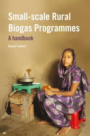 Small-Scale Rural Biogas Programmes de David Fulford