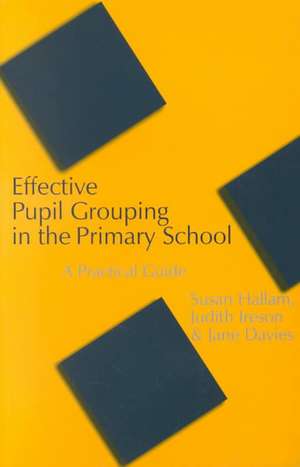 Effective Pupil Grouping in the Primary School: A Practical Guide de Susan Hallam