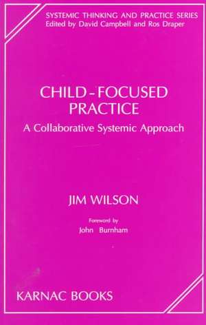 Child-Focused Practice: A Collaborative Systemic Approach de Jim Wilson