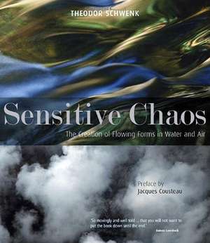 Sensitive Chaos de Theodor Schwenk