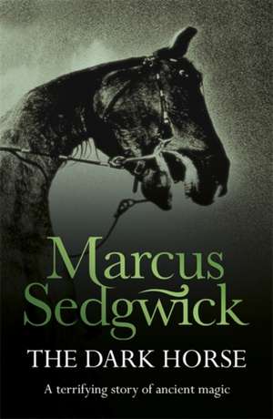 The Dark Horse de Marcus Sedgwick