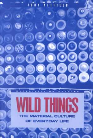 Wild Things: The Material Culture of Everyday Life de Judy Attfield