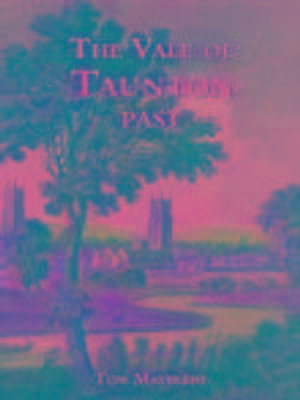 The Vale of Taunton Past de Tom Mayberry