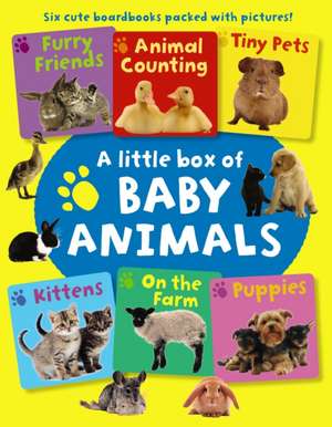 A Little Box of Baby Animals: Six Cute Boardbooks Packed with Pictures! de Armadillo Press