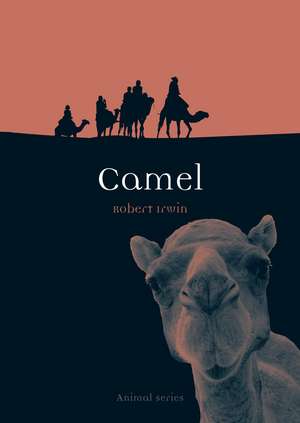 Camel de Robert Irwin