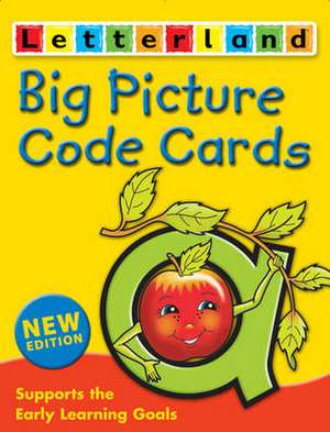 Big Picture Code Cards de Lyn Wendon