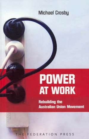 Power at Work de Michael H. Crosby