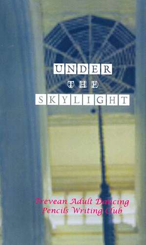 Under the Skylight de Felicity Keats