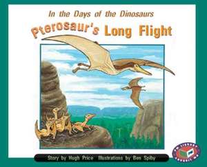 Pterosaur's Long Flight PM Level 15&16 Set B Orange de Hugh Price