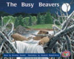 The Busy Beavers PM Level 16 Set C Orange de Beverley Randell