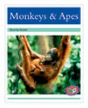 Monkeys & Apes PM Non Fiction Level 18&19 Turquoise: Animal Facts Animals in the Wild de BEVERLEY RANDELL