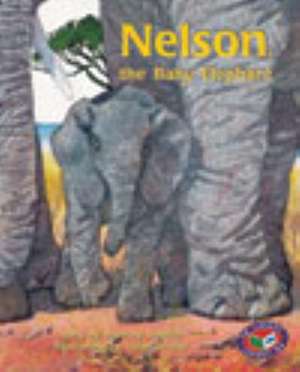 Nelson, the Baby Elephant PM Turquoise Set A de Beverley Randell