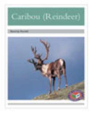 Caribou (Reindeer) PM Non Fiction Level 23&24 Silver: Animal Facts Polar Animals de Beverley Randell